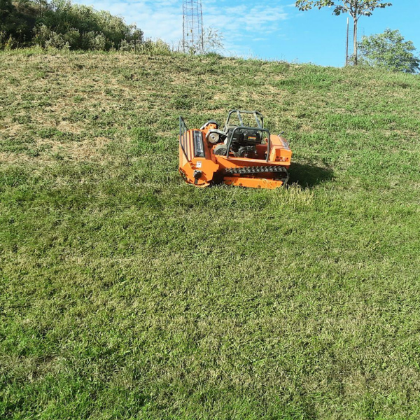 Remote Control Lawn Mower in Pittsburgh, Pennsylvania | Demo Room Host - Richard Stevens