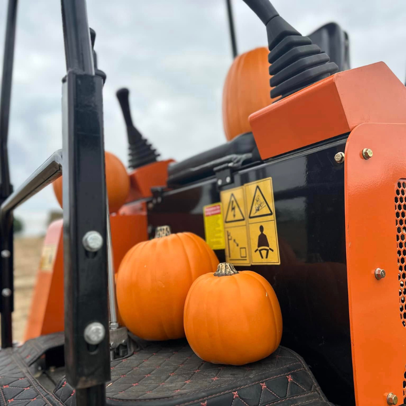Mini Excavator in Ontario