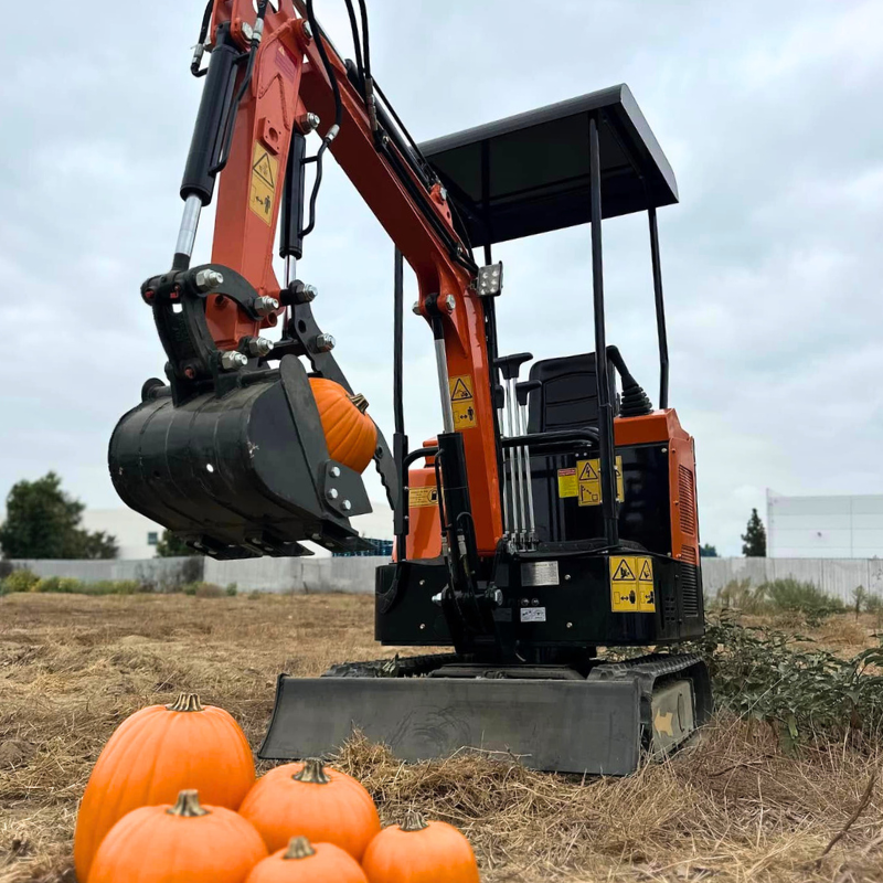 Mini Excavator in Ontario