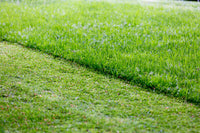 How to Control a Remote Control Lawn Mower: A Practical Guide