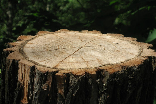 How to Install a Grinder on a Skid Steer Loader